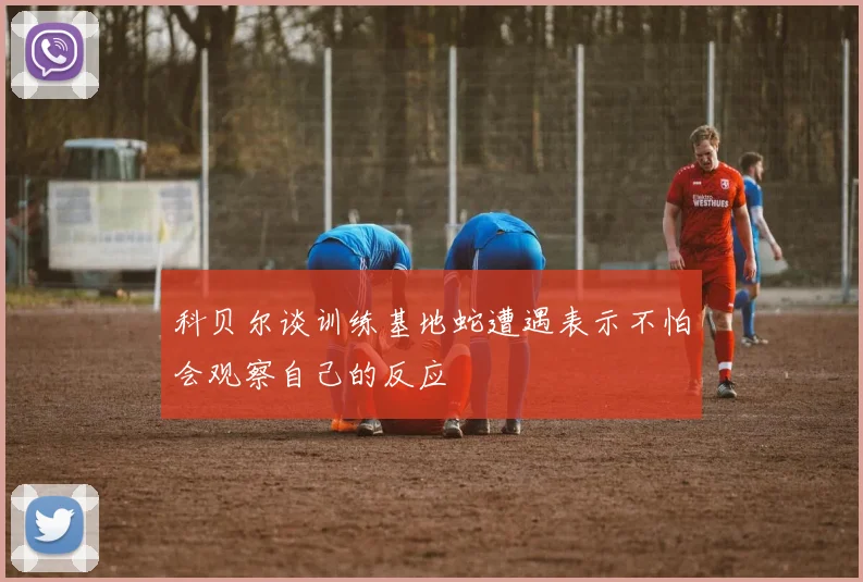科贝尔谈训练基地蛇遭遇表示不怕会观察自己的反应